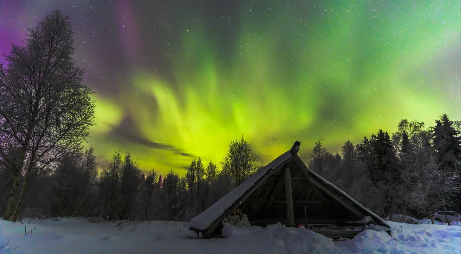 Green and purple aurora over a snowy wooden shelter in the Lapland forest